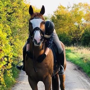 Meet your Posher, Brianna